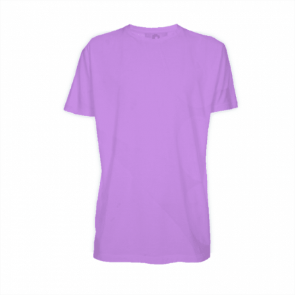 Camiseta Poliéster Lilás - Adulto - Manga curta